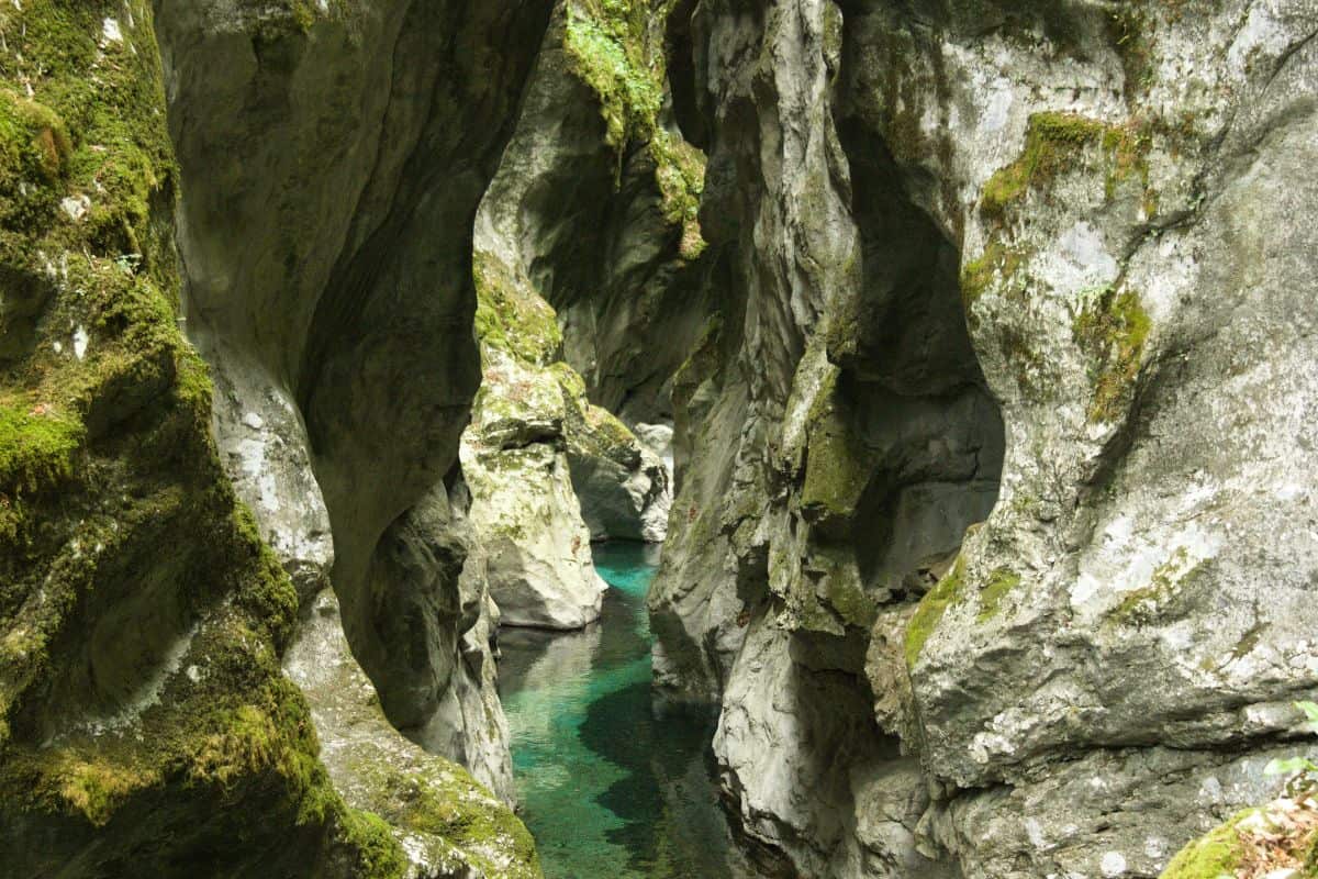 Tolminska korita