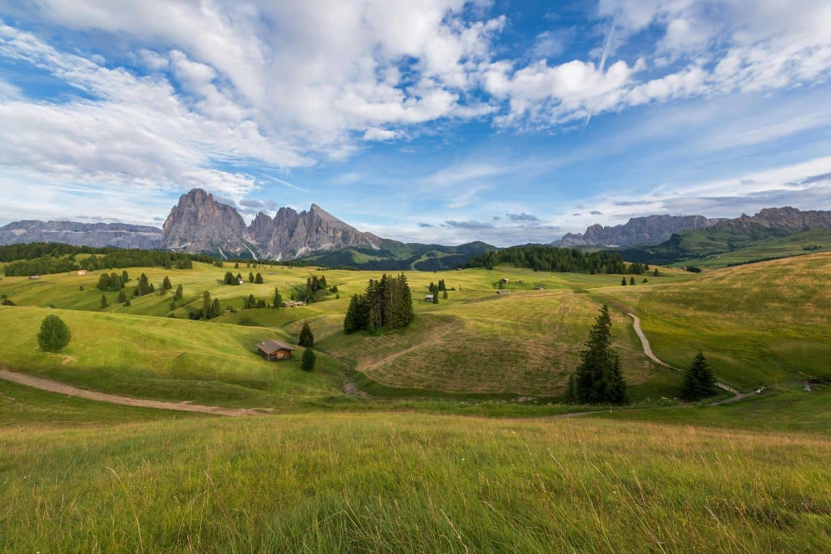 Horská louka Alpe di Siusi