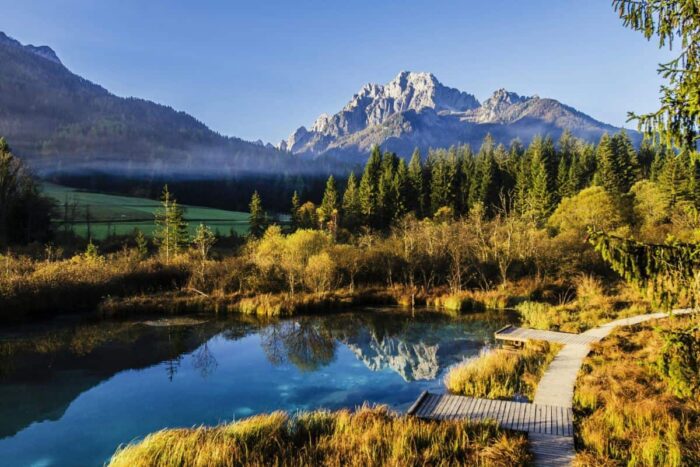 Zelenci